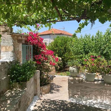 Sergios Village House Χανιά Εξωτερικό φωτογραφία