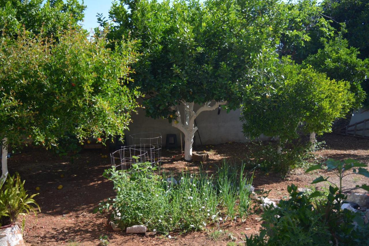 Sergios Village House Χανιά Εξωτερικό φωτογραφία