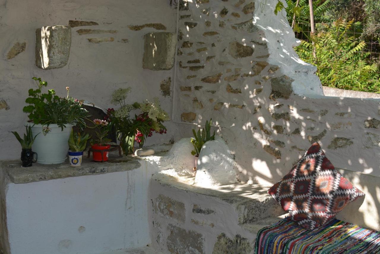 Sergios Village House Χανιά Εξωτερικό φωτογραφία