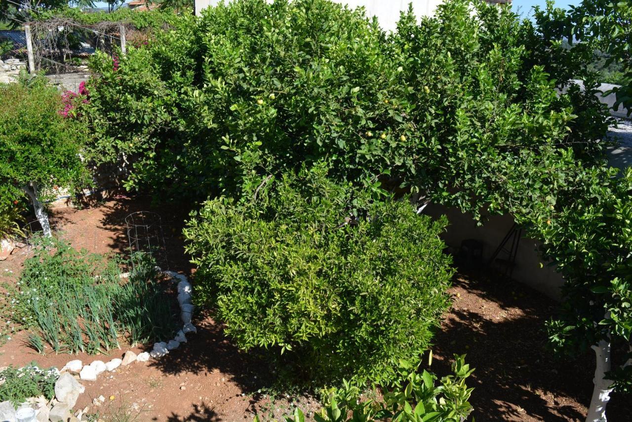 Sergios Village House Χανιά Εξωτερικό φωτογραφία