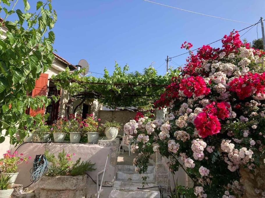 Sergios Village House Χανιά Εξωτερικό φωτογραφία