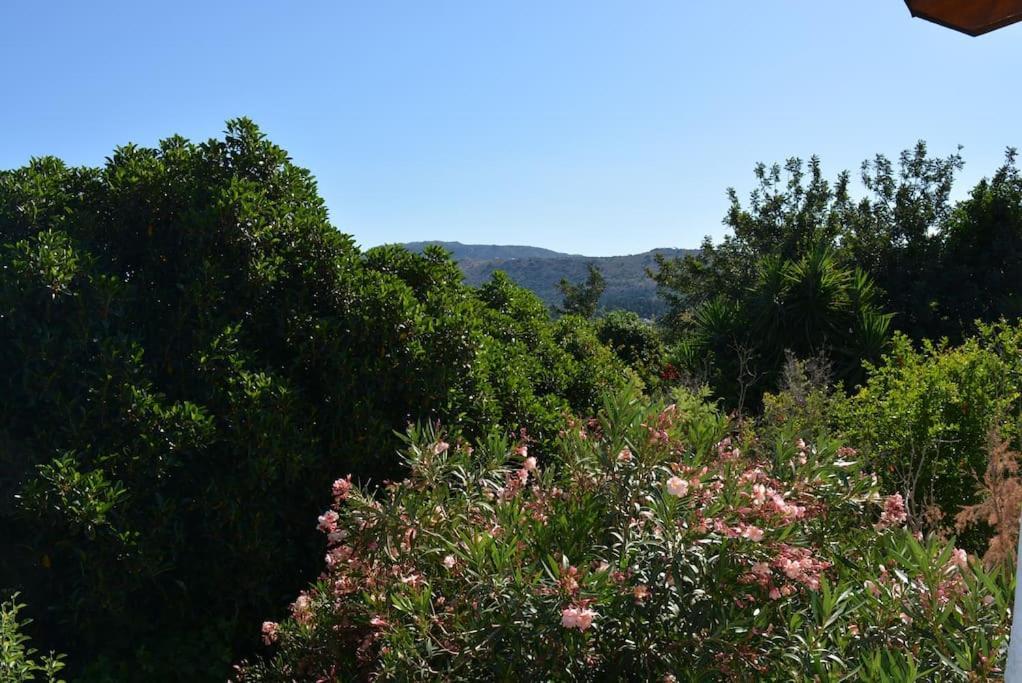 Sergios Village House Χανιά Εξωτερικό φωτογραφία