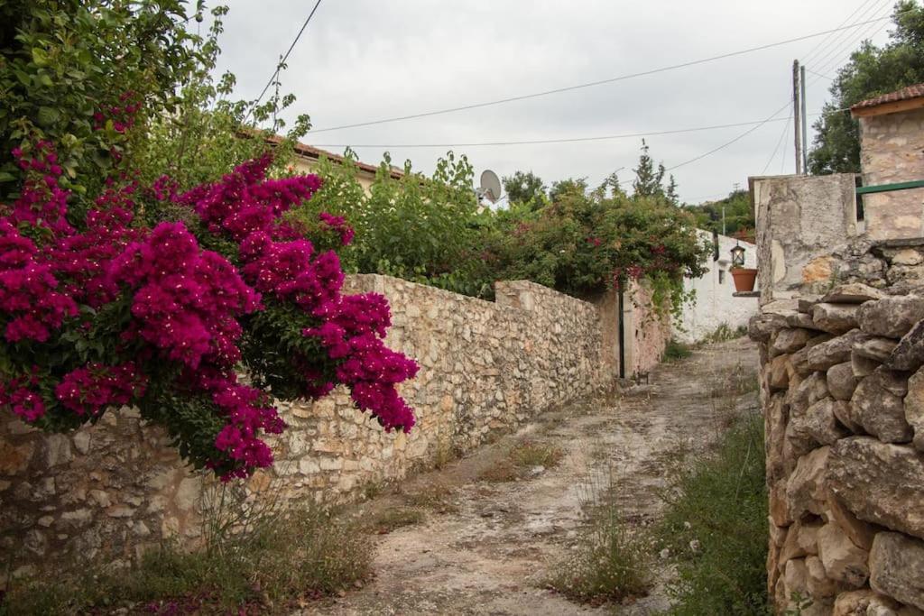 Sergios Village House Χανιά Εξωτερικό φωτογραφία