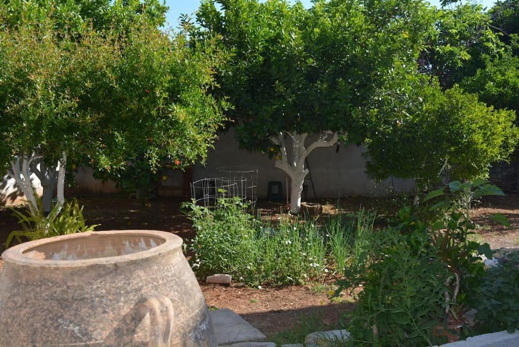 Sergios Village House Χανιά Εξωτερικό φωτογραφία