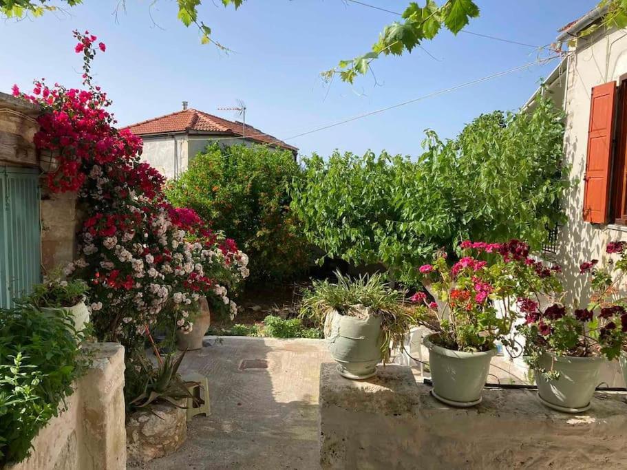 Sergios Village House Χανιά Εξωτερικό φωτογραφία